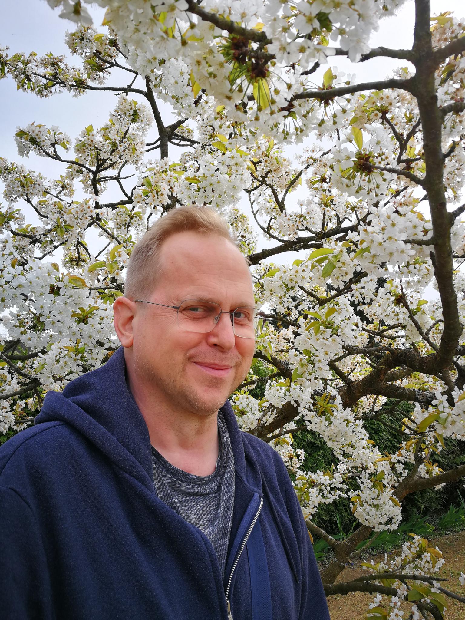 WIE WIRD MAN REGISSEUR?